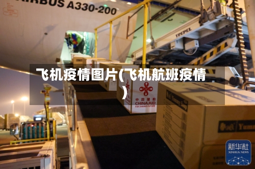 飞机疫情图片(飞机航班疫情)-第2张图片