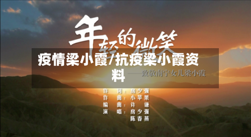 疫情梁小霞/抗疫梁小霞资料