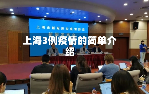 上海3例疫情的简单介绍