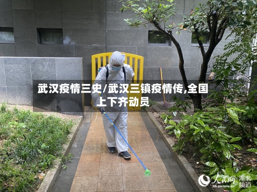 武汉疫情三史/武汉三镇疫情传,全国上下齐动员