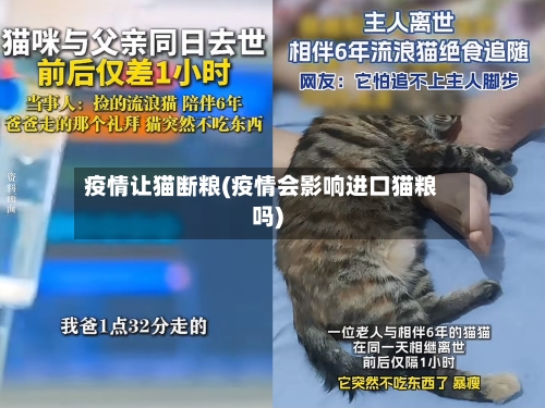 疫情让猫断粮(疫情会影响进口猫粮吗)