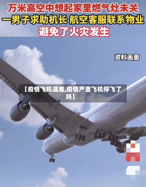 【疫情飞机遇难,疫情严重飞机停飞了吗】-第2张图片