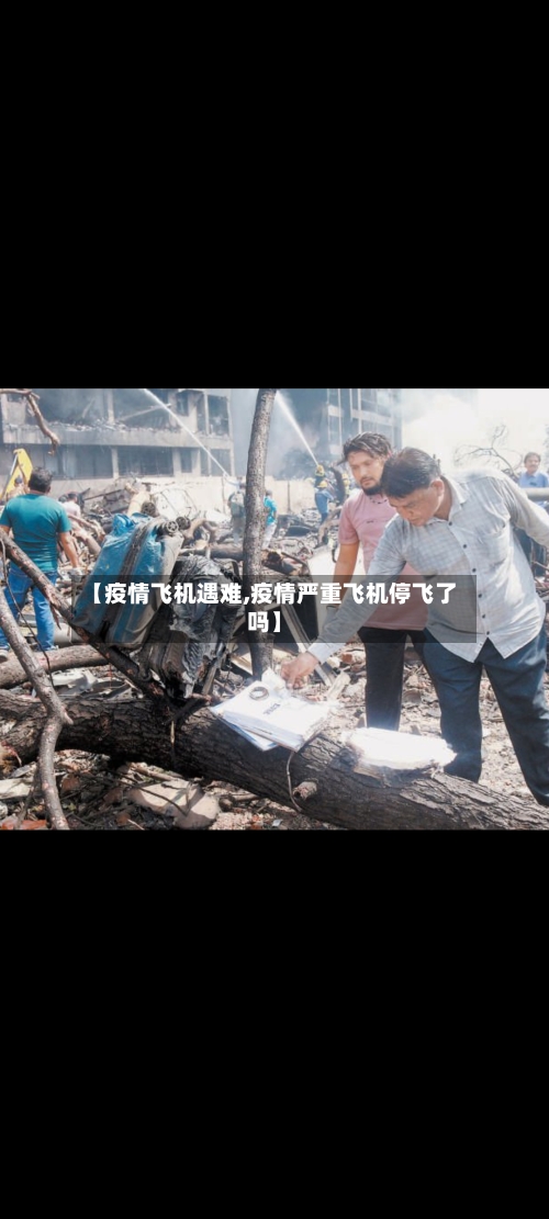 【疫情飞机遇难,疫情严重飞机停飞了吗】