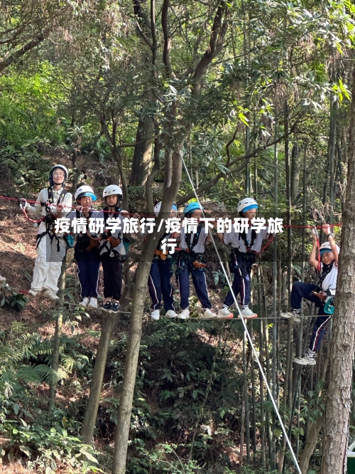 疫情研学旅行/疫情下的研学旅行