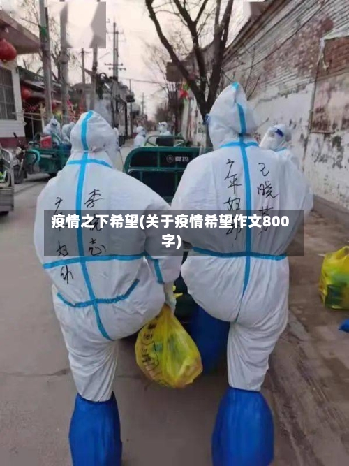 疫情之下希望(关于疫情希望作文800字)-第2张图片