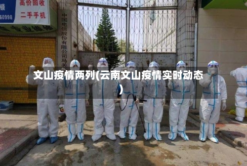文山疫情两列(云南文山疫情实时动态)