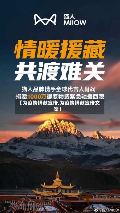 【为疫情捐款宣传,为疫情捐款宣传文案】-第2张图片