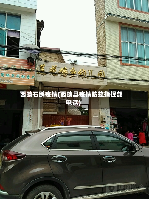 西畴石鹅疫情(西畴县疫情防控指挥部电话)