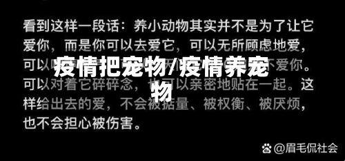 疫情把宠物/疫情养宠物-第2张图片