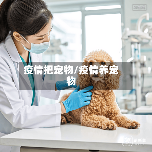 疫情把宠物/疫情养宠物