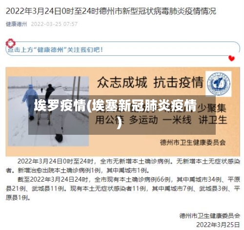 埃罗疫情(埃塞新冠肺炎疫情)