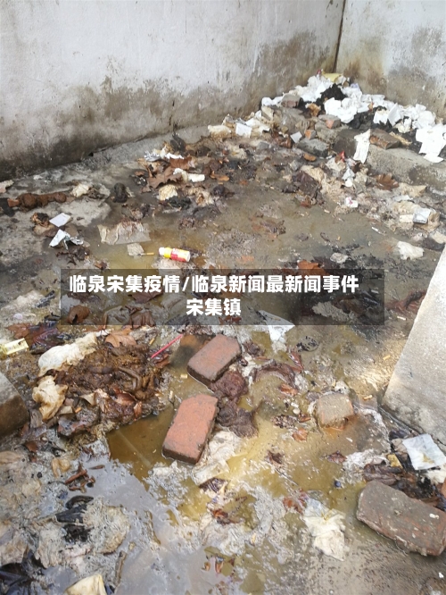 临泉宋集疫情/临泉新闻最新闻事件宋集镇