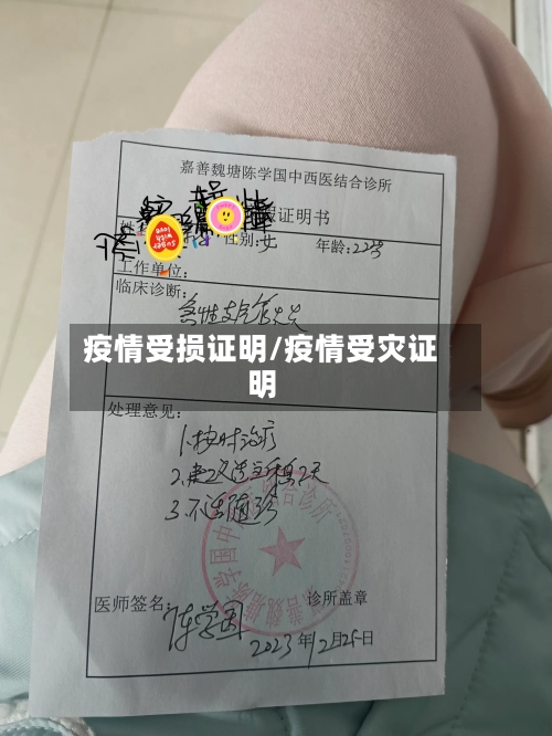 疫情受损证明/疫情受灾证明