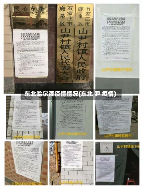 东北哈尔滨疫情情况(东北 尹 疫情)