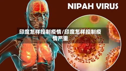 印度怎样控制疫情/印度怎样控制疫情严重-第2张图片