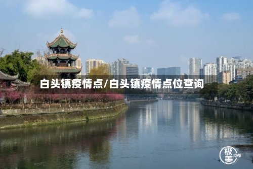 白头镇疫情点/白头镇疫情点位查询-第2张图片