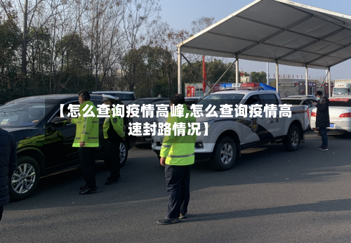 【怎么查询疫情高峰,怎么查询疫情高速封路情况】