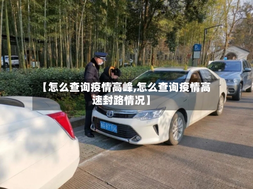 【怎么查询疫情高峰,怎么查询疫情高速封路情况】-第3张图片