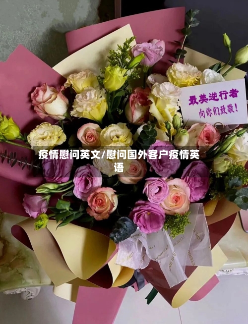疫情慰问英文/慰问国外客户疫情英语