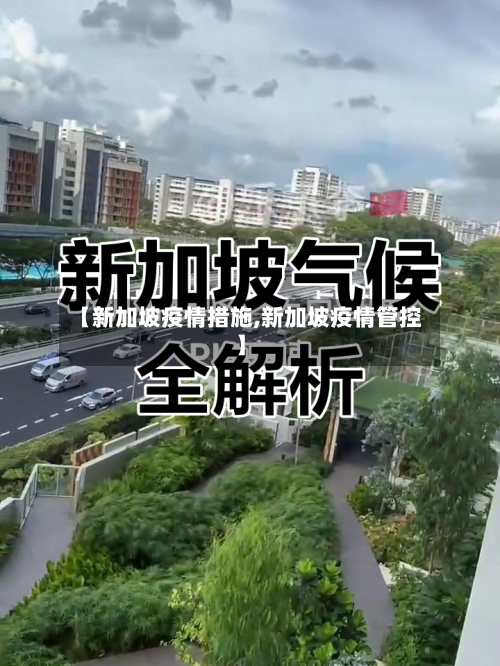 【新加坡疫情措施,新加坡疫情管控】-第2张图片