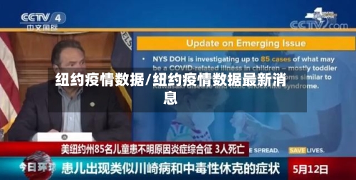 纽约疫情数据/纽约疫情数据最新消息-第2张图片
