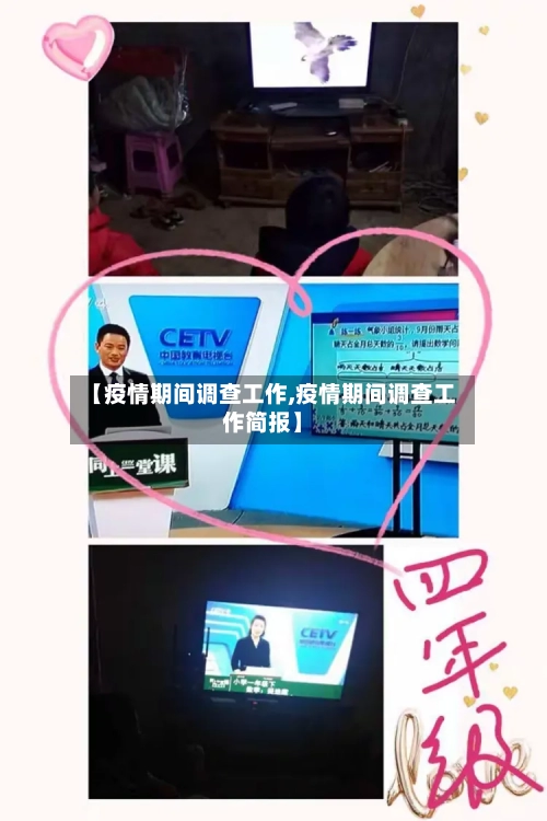 【疫情期间调查工作,疫情期间调查工作简报】