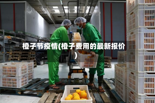 橙子节疫情(橙子费用的最新报价)