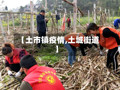 【土市镇疫情,土城街道】-第3张图片