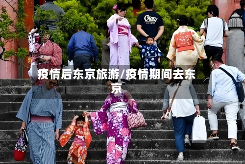 疫情后东京旅游/疫情期间去东京-第3张图片
