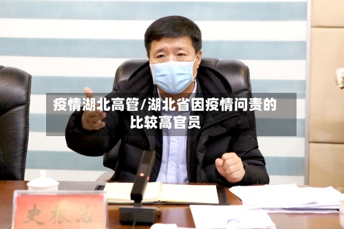 疫情湖北高管/湖北省因疫情问责的比较高官员
