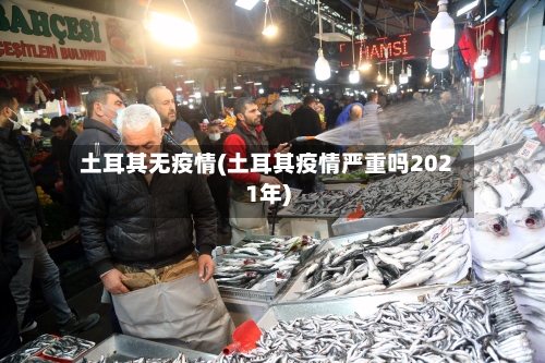 土耳其无疫情(土耳其疫情严重吗2021年)