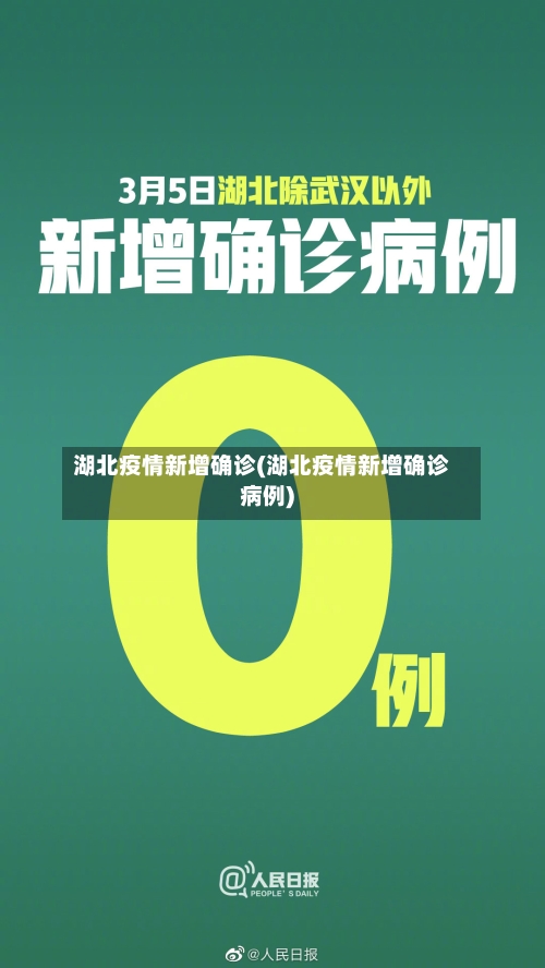 湖北疫情新增确诊(湖北疫情新增确诊病例)