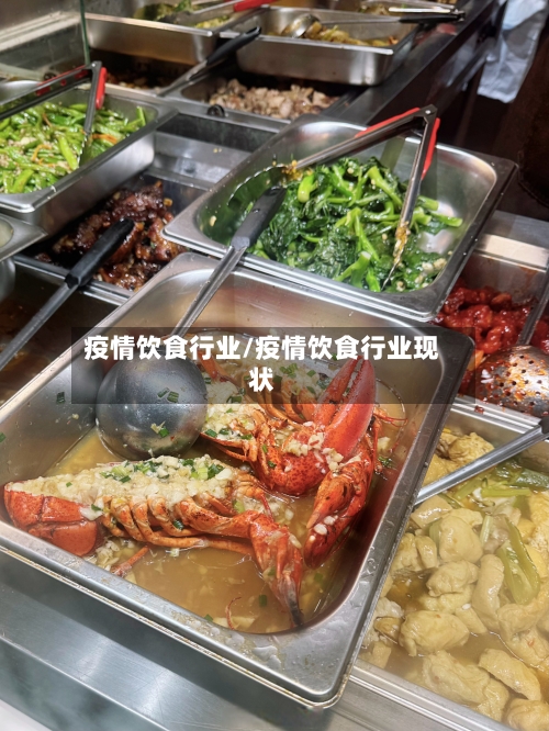 疫情饮食行业/疫情饮食行业现状