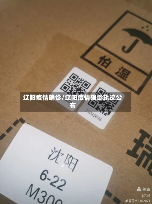 辽阳疫情确诊/辽阳疫情确诊轨迹公布-第2张图片