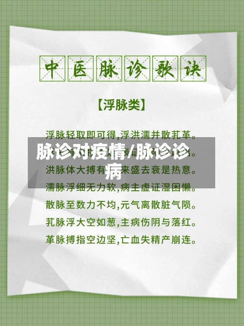 脉诊对疫情/脉诊诊病-第2张图片