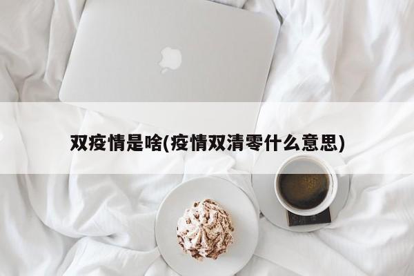 双疫情是啥(疫情双清零什么意思)